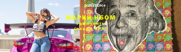 прущие грибы Горняк