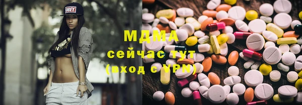 прущие грибы Горняк