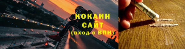 прущие грибы Горняк