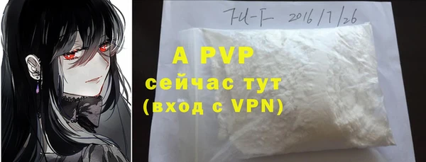 дживик Горнозаводск