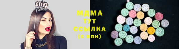 прущие грибы Горняк