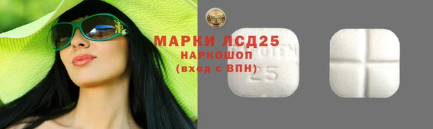 прущие грибы Горняк