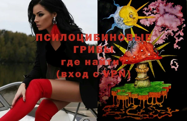 дживик Горнозаводск