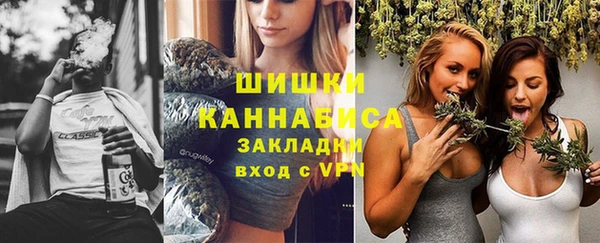 прущие грибы Горняк
