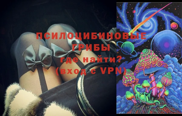 прущие грибы Горняк
