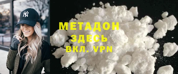 прущие грибы Горняк